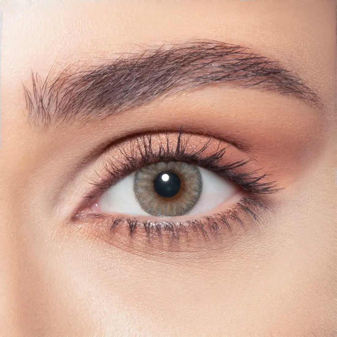 Bella Daily Contacts