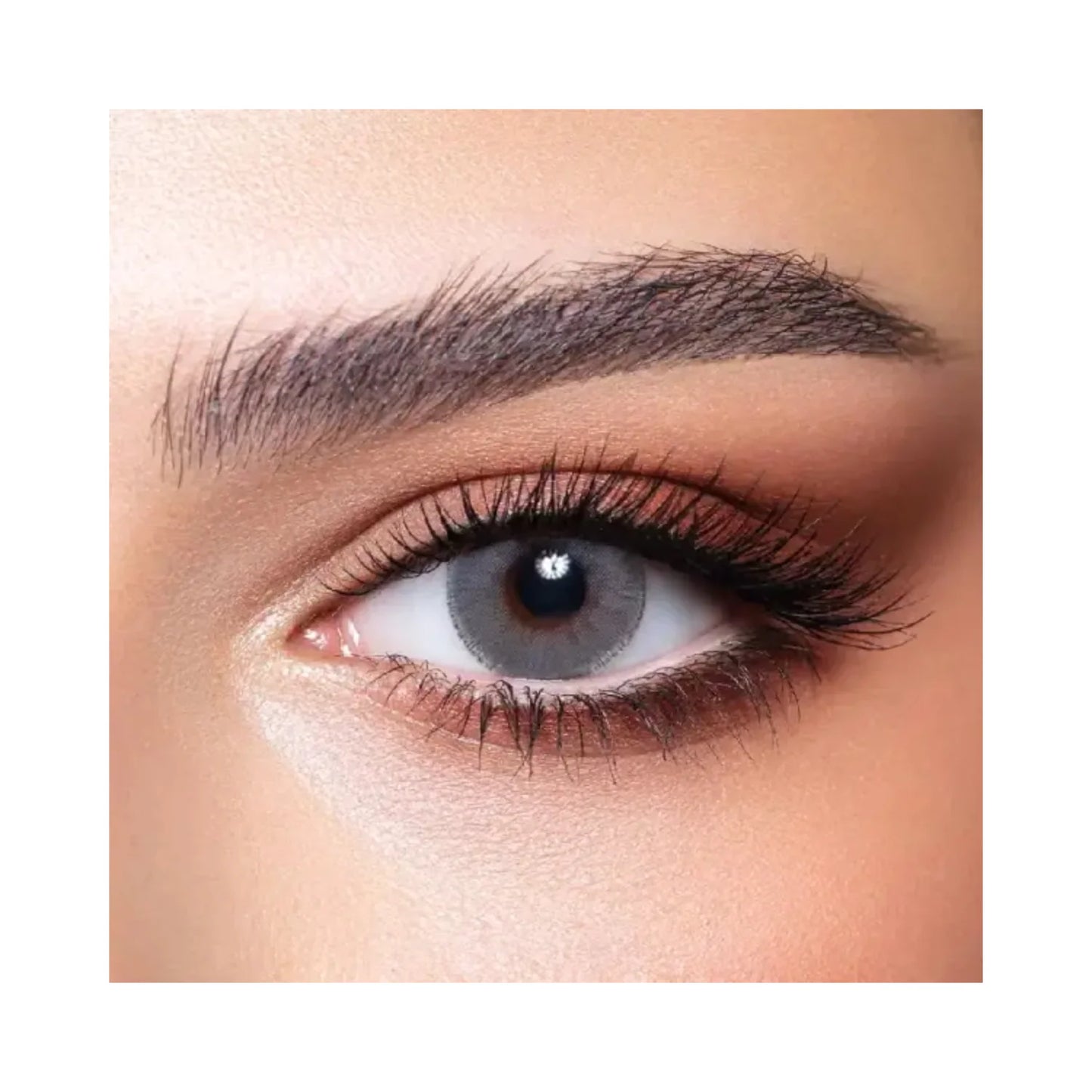 Bella Elite Collection Monthly Contacts