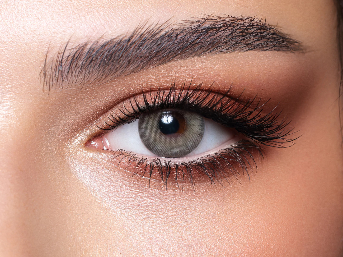 Bella Elite Collection Monthly Contacts