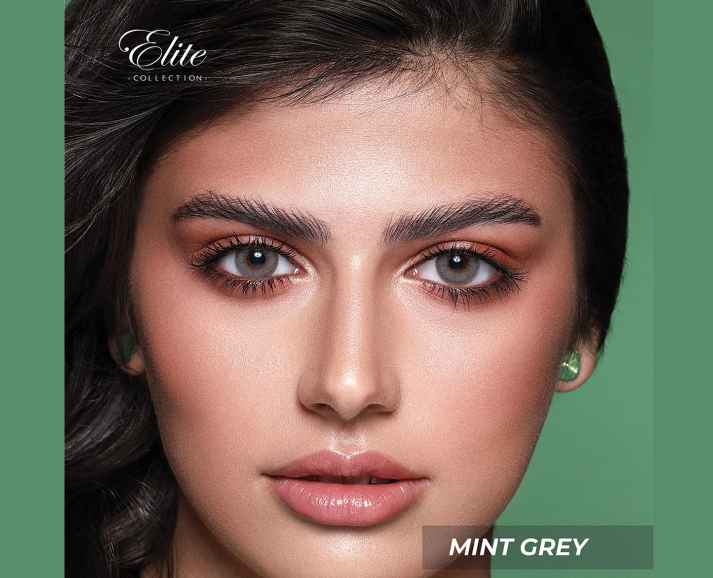Bella Elite Collection Monthly Contacts