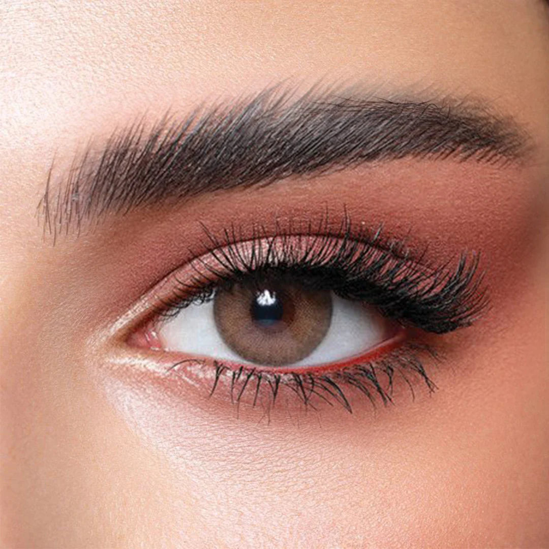 Bella Elite Collection Monthly Contacts