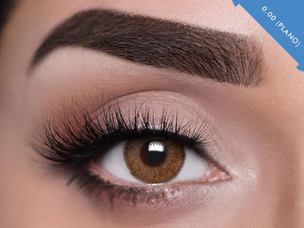 Joli Exotic Monthly Contacts