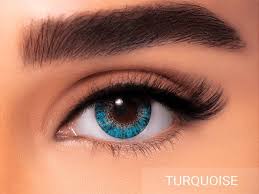 Freshlook Monthly Contact Lenses